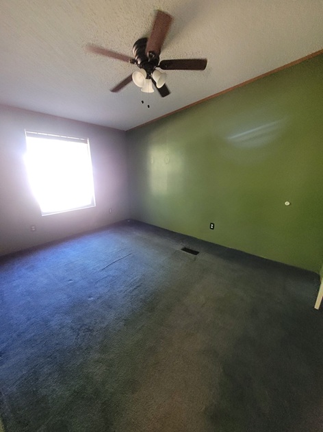 Gallery Photo 13